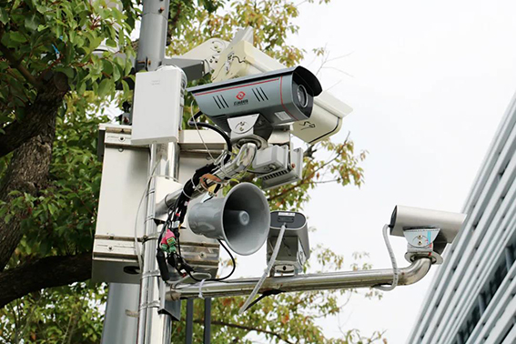 1583992357114709.jpg 8.jpg