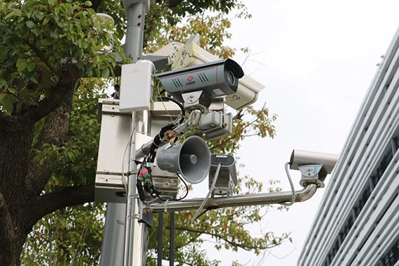 1589335351105341.jpg 4.jpg