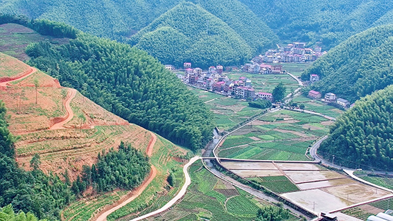 1656403622873330.jpg 图片1www.jpg