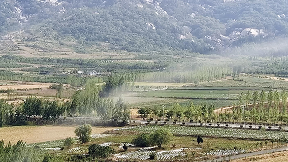 1656403629125657.jpg 图片2www.jpg