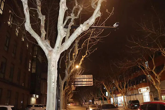 1676017800162315.jpg w3.jpg