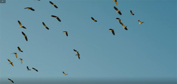 1677809378101817.jpg 1w.jpg