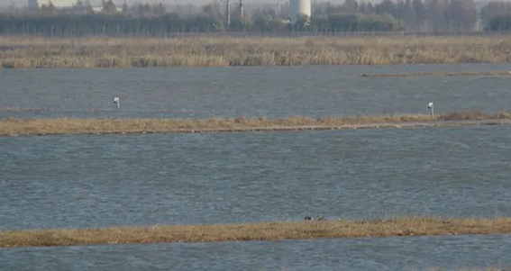 1677809389121164.jpg 2w.jpg