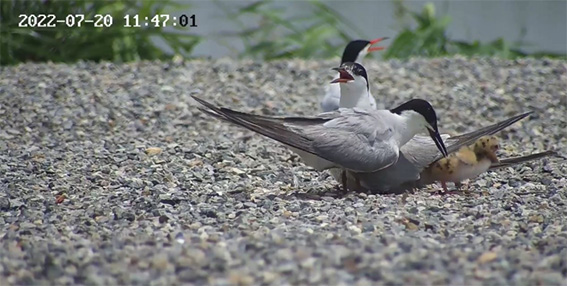 1677809400807534.jpg 3w.jpg